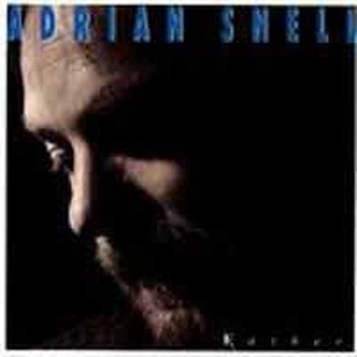Guitar heroes adrian snell - guitar,